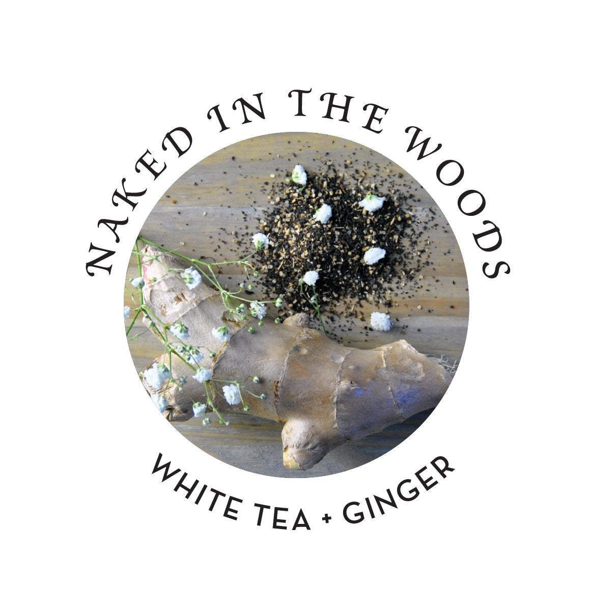 Earthly Body Skin Butter | Naked in the Woods